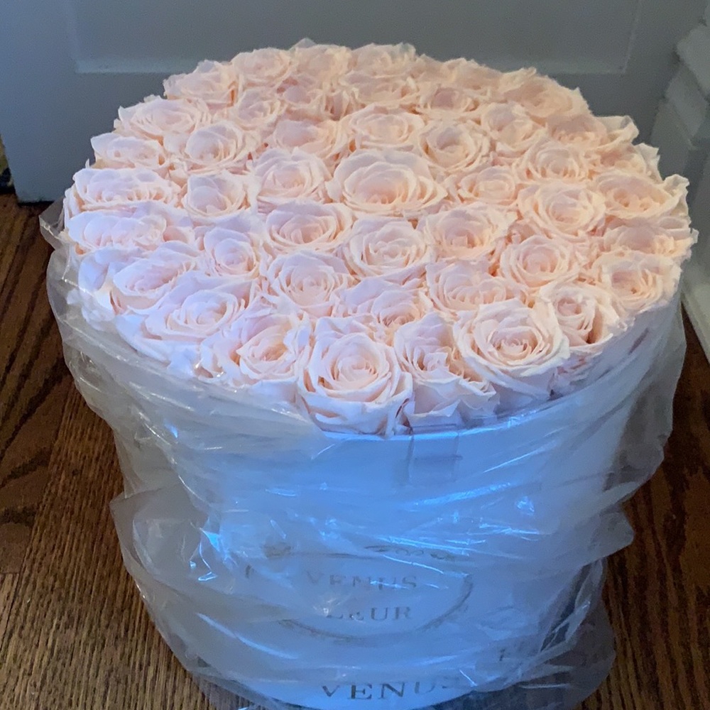 Brand New  VENUS et FLEUR Large Round Classic Eternity Flower arrangement